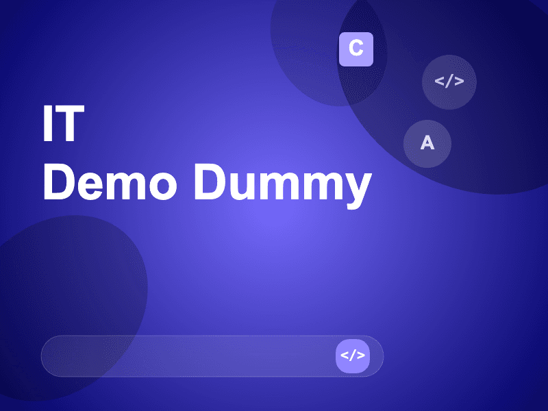 IT Dummy Demo